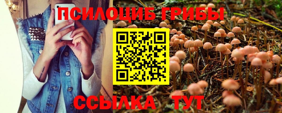 Тула  Галлюциногенные грибы Psilocybine cubensis  Вход с VPN 